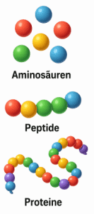 Aminosäuren, Peptide, Proteine bei Parkinson